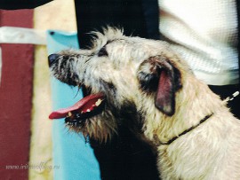 1 1