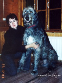 1 1