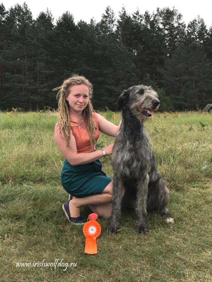 Irish Wolfhound. Kennel Tsarskaja Prihot