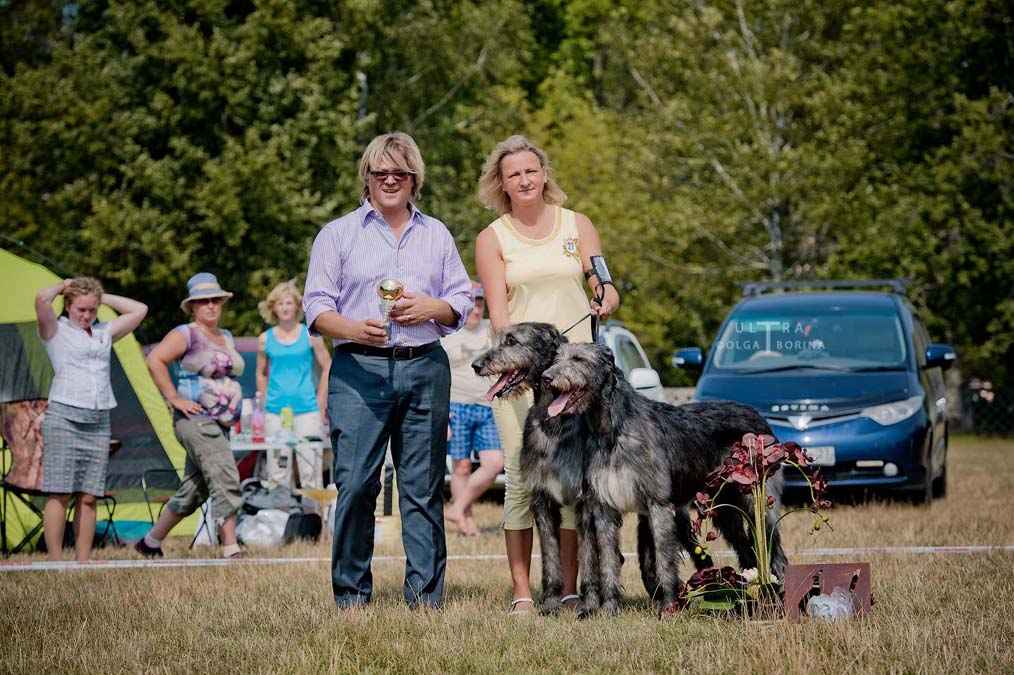 Irish Wolfhound. Kennel Tsarskaja Prihot