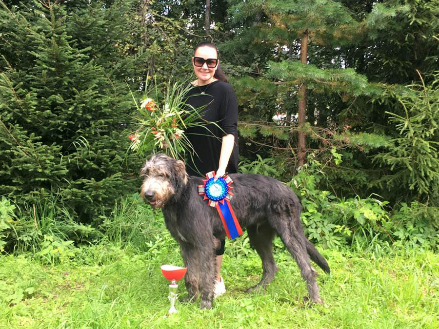 Irish Wolfhound. Kennel Tsarskaja Prihot