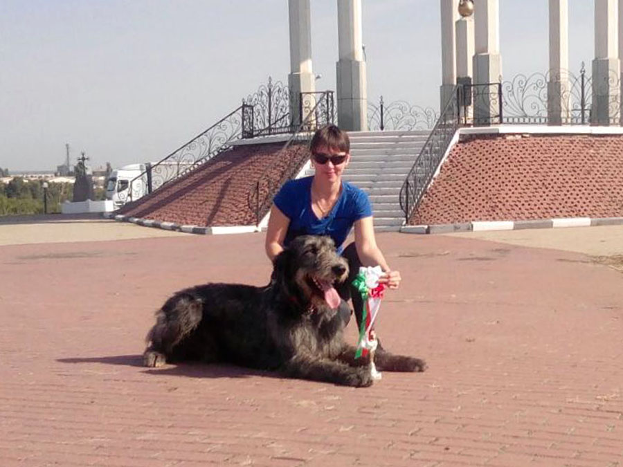 Irish Wolfhound. Kennel Tsarskaja Prihot