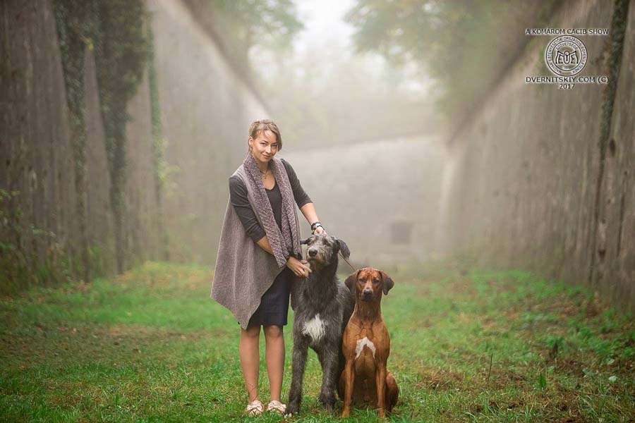 Irish Wolfhound. Kennel Tsarskaja Prihot