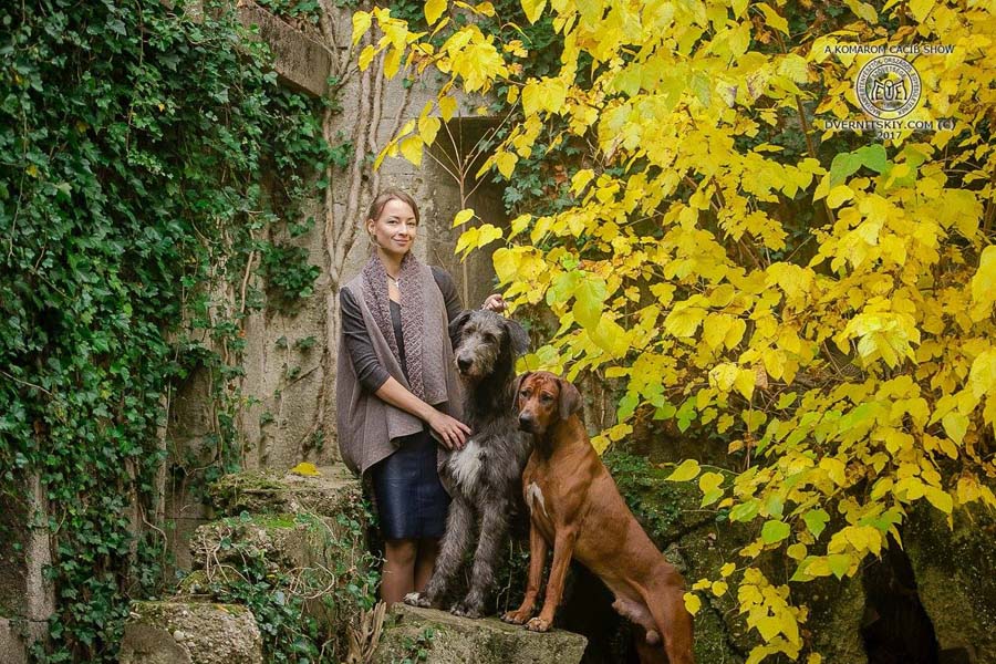 Ирландский волкодав. Питомник Царская Прихоть Irish Wolfhound. Kennel Tsarskaja Prihot