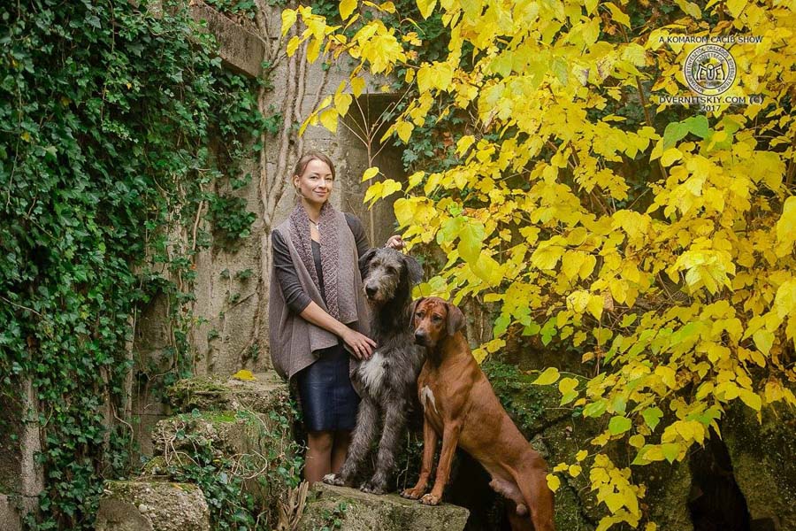 Irish Wolfhound. Kennel Tsarskaja Prihot