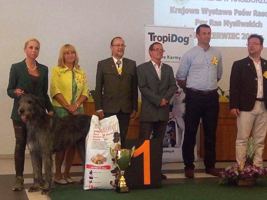 Irish Wolfhound. Kennel Tsarskaja Prihot