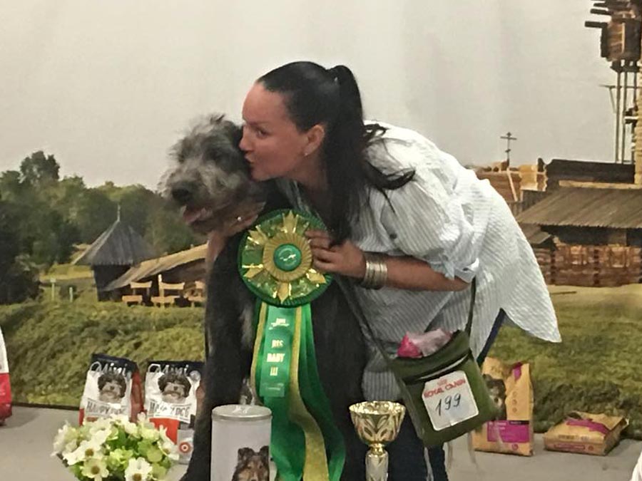 Irish Wolfhound. Kennel Tsarskaja Prihot