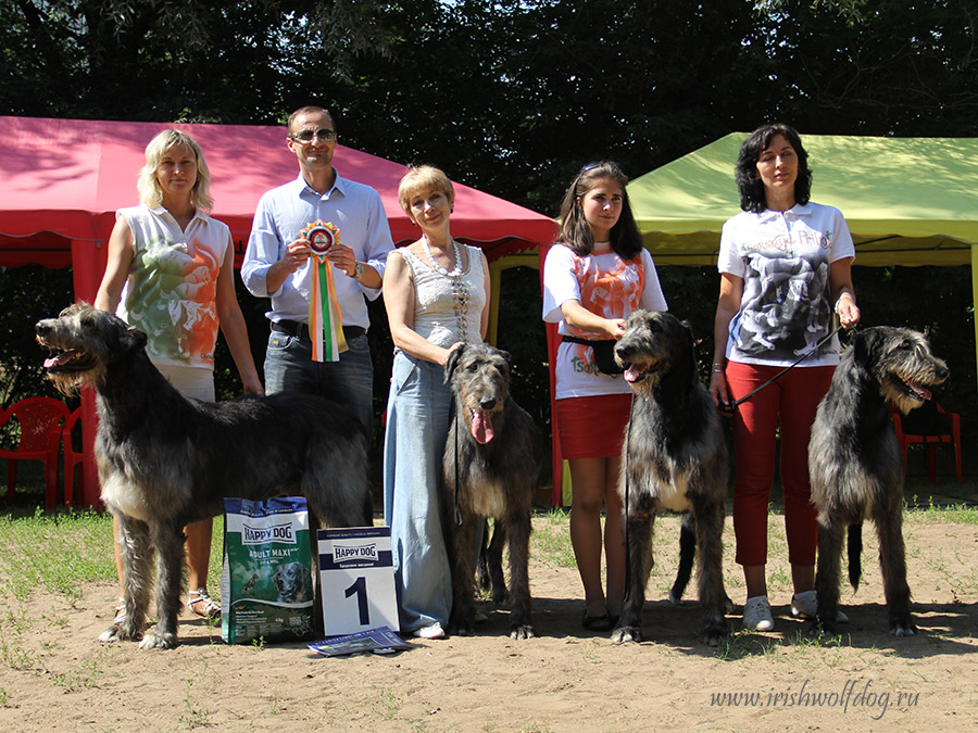 Irish Wolfhound. Kennel Tsarskaja Prihot