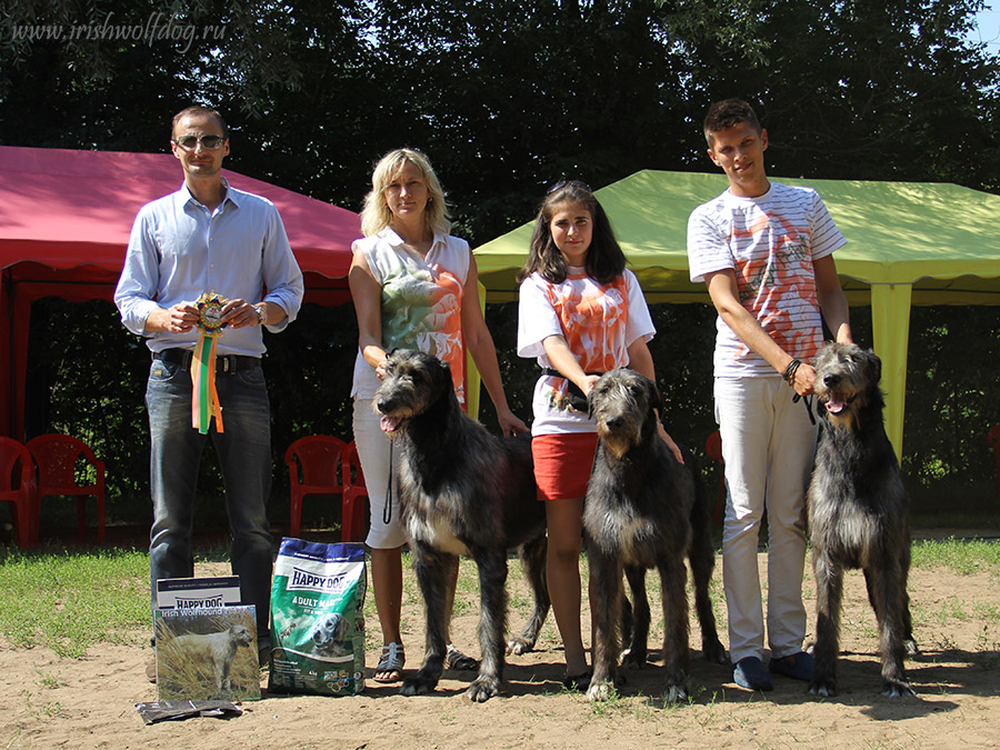 Irish Wolfhound. Kennel Tsarskaja Prihot