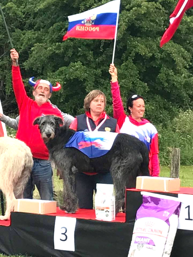 Irish Wolfhound. Kennel Tsarskaja Prihot