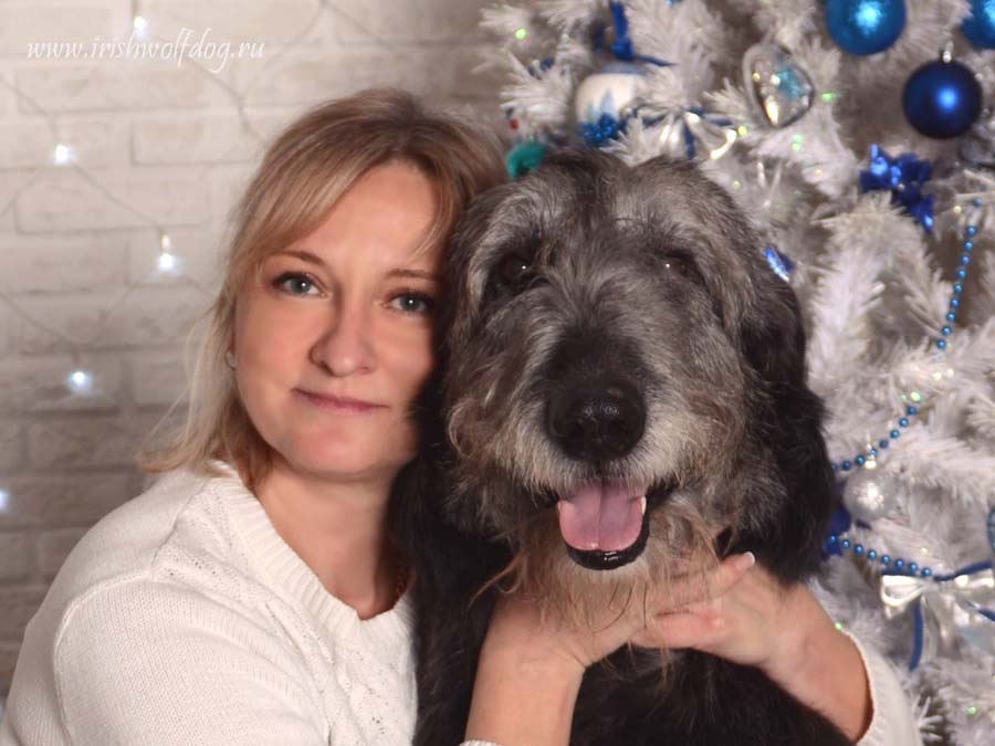 Irish Wolfhound. Kennel Tsarskaja Prihot