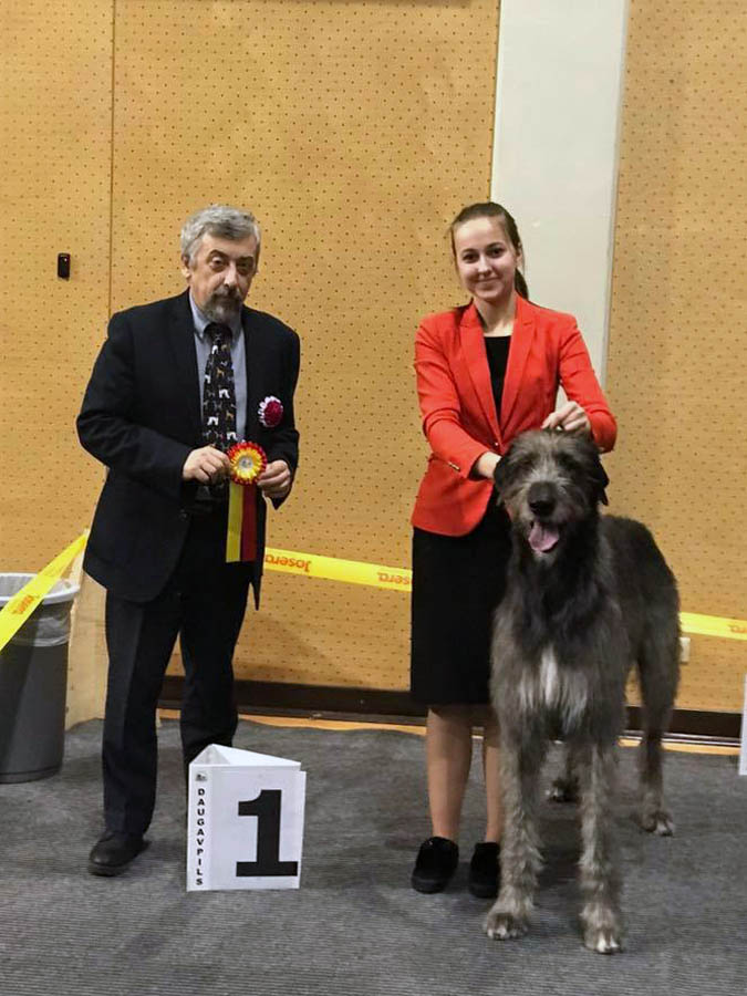 Irish Wolfhound. Kennel Tsarskaja Prihot