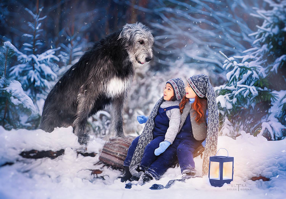 Ирландский волкодав. Питомник Царская Прихоть Irish Wolfhound. Kennel Tsarskaja Prihot