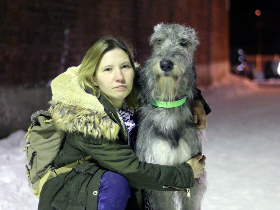 Irish Wolfhound. Kennel Tsarskaja Prihot