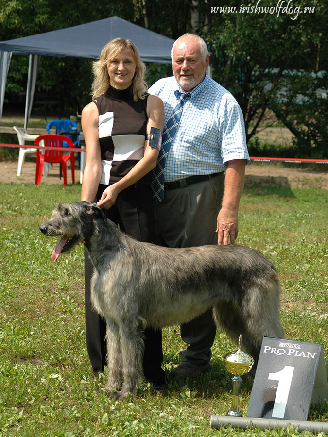 Irish Wolfhound. Kennel Tsarskaja Prihot