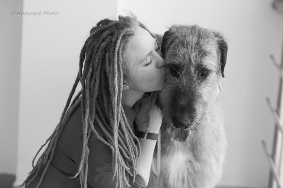 Irish Wolfhound. Kennel Tsarskaja Prihot