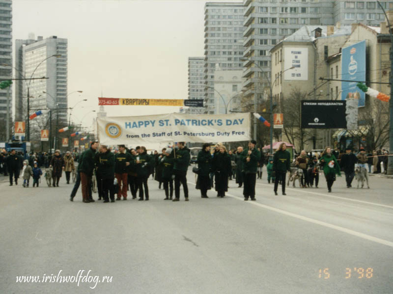 Ирландский волкодав