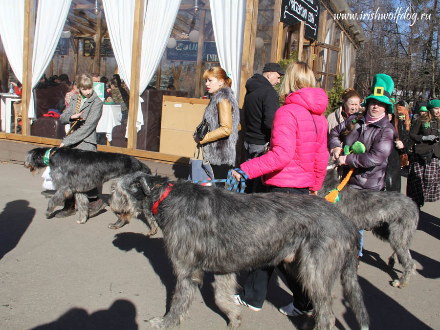 День Святого Патрика в Москве